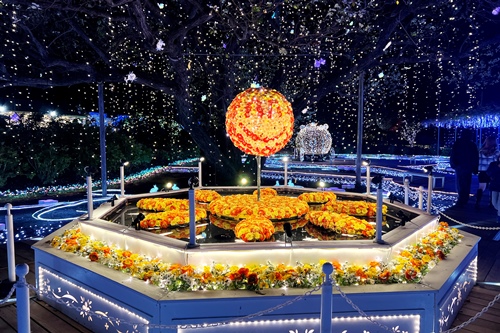 現在の花の状況 | あしかがフラワーパーク
